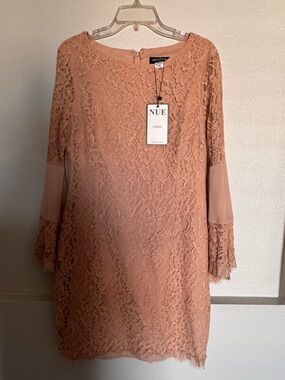 Nue by Shani Dusty Rose Lace Shift Mini Dress